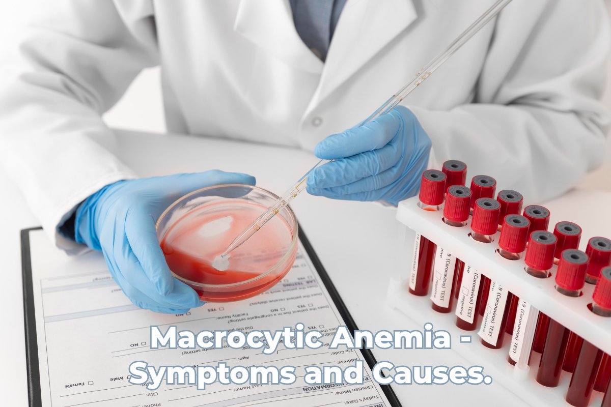 Macrocytic Anemia – Symptoms and Causes.
